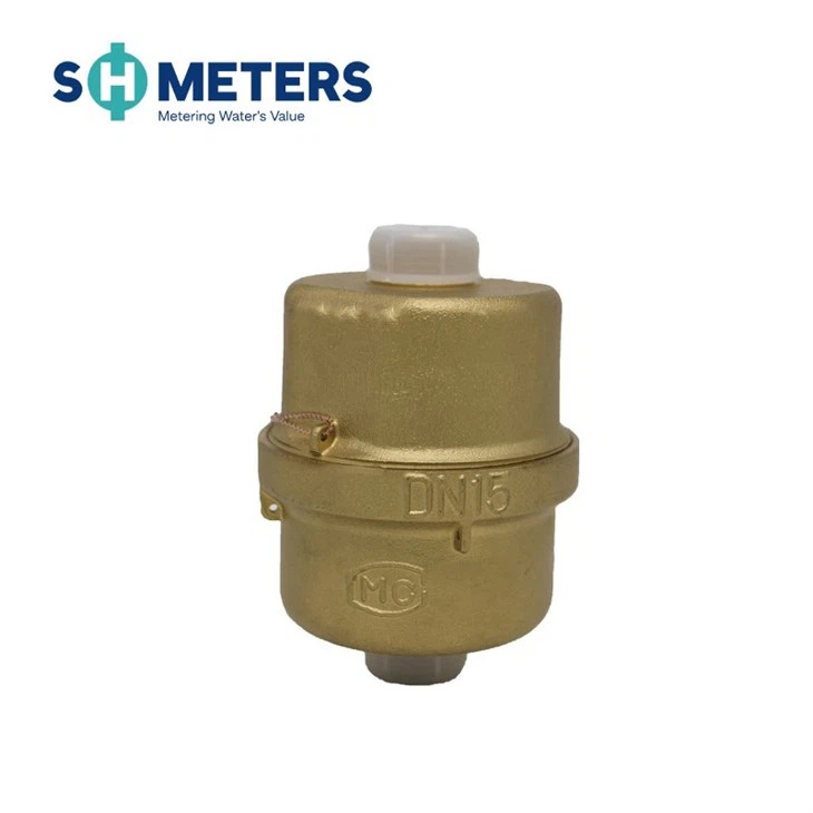 Volumetric Rotary Piston Water Meter R200 For Municipal Volumetric Rotary Piston Water Meter R200 For Municipal