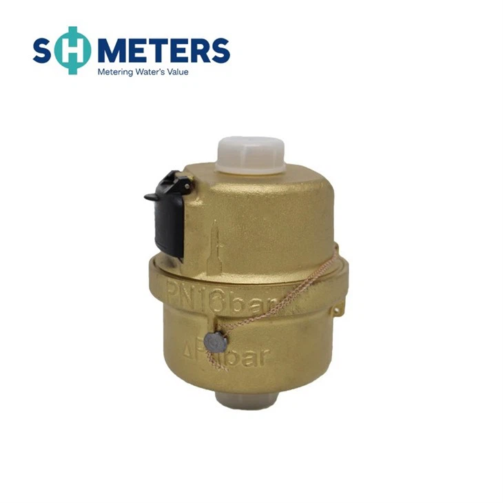 Volumetric Rotary Piston Water Meter R200 For Municipal Volumetric Rotary Piston Water Meter R200 For Municipal